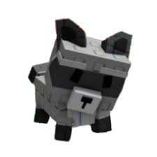 Raccoon