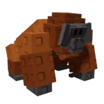 Orangutan