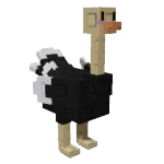Ostrich ( trên 2kg )