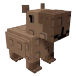 Capybara ( Trên 2kg )