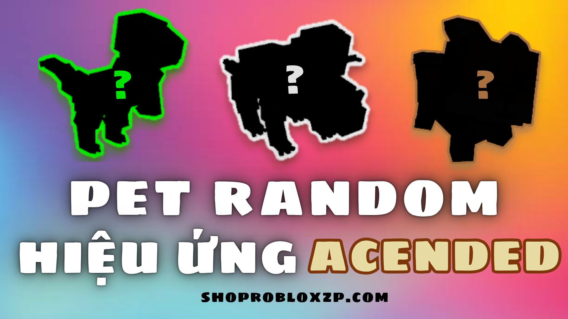 Pet hiệu ứng ACENDED