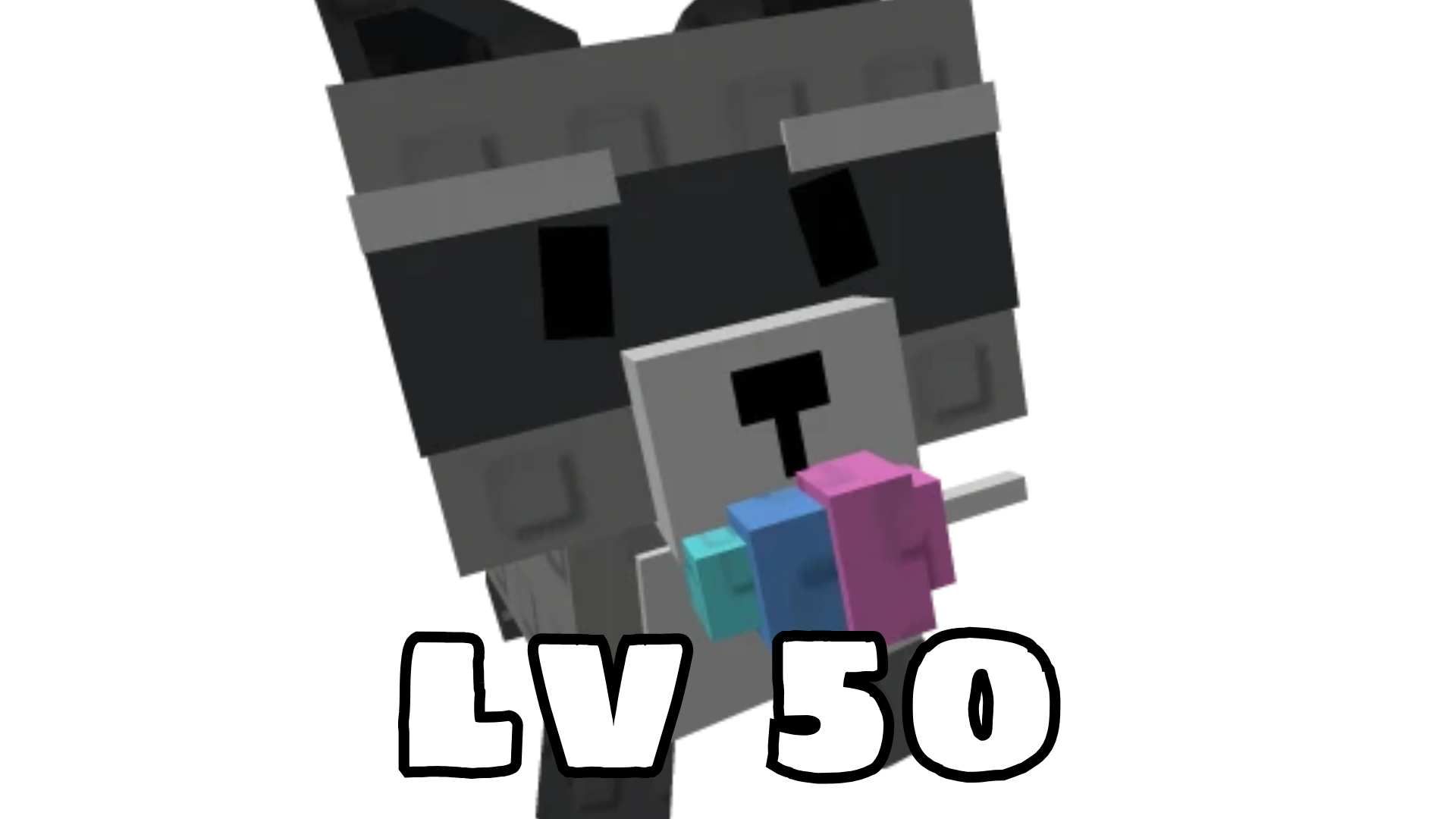 Raccoon ( Level 50 )