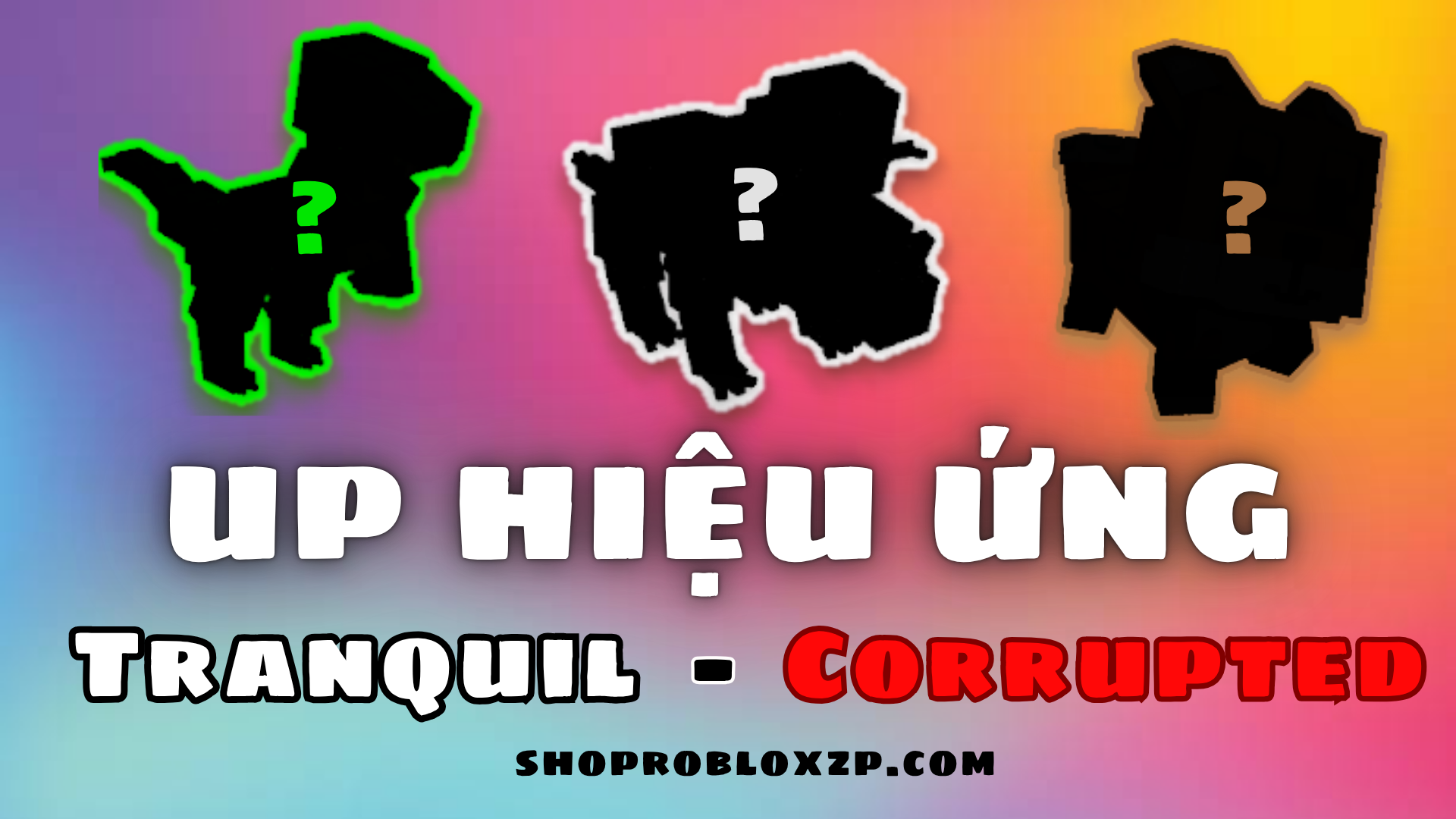 Ghi Chú PET Cần UP Và Hiện Ứng