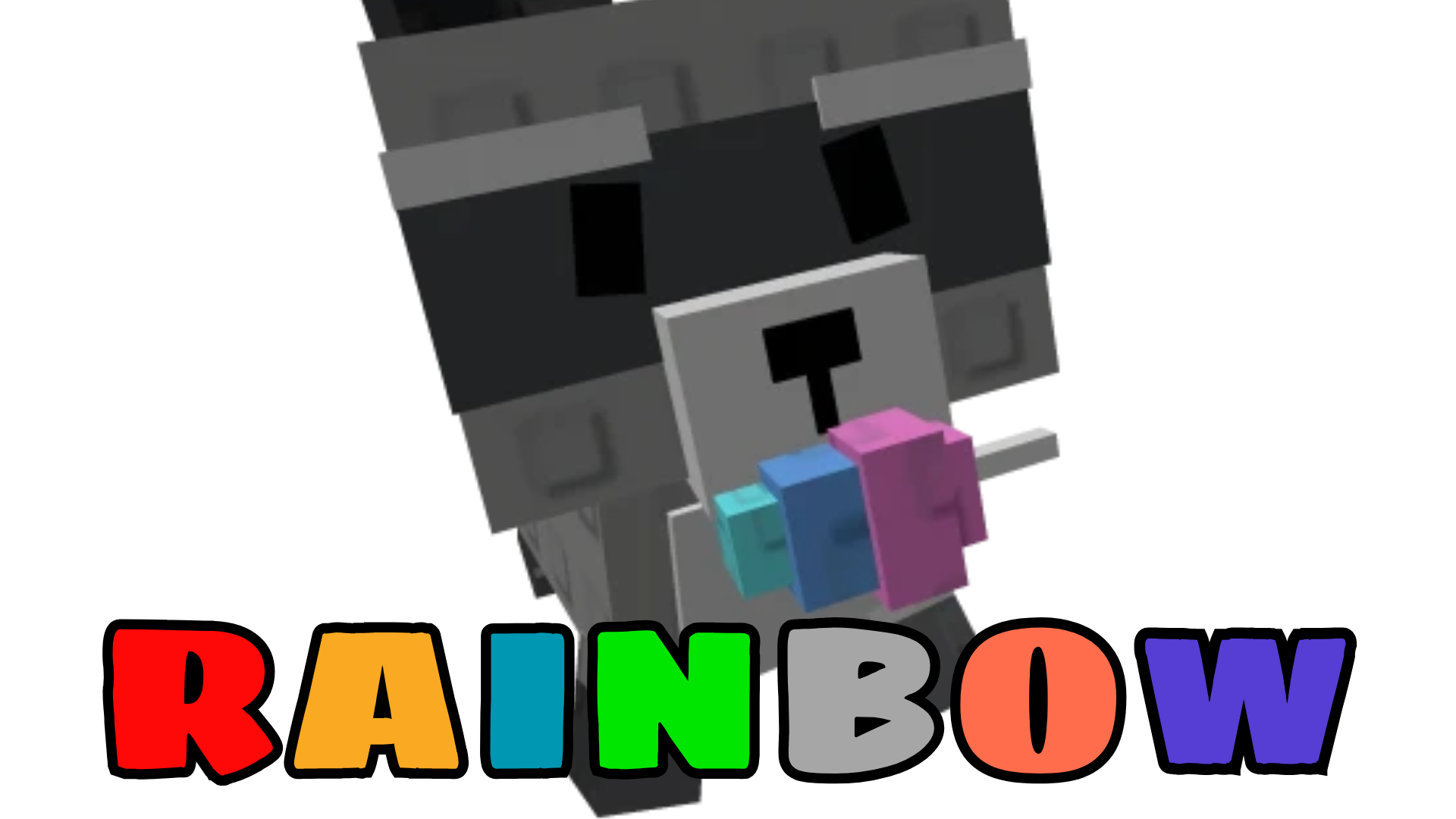 Raccoon ( Rainbow )