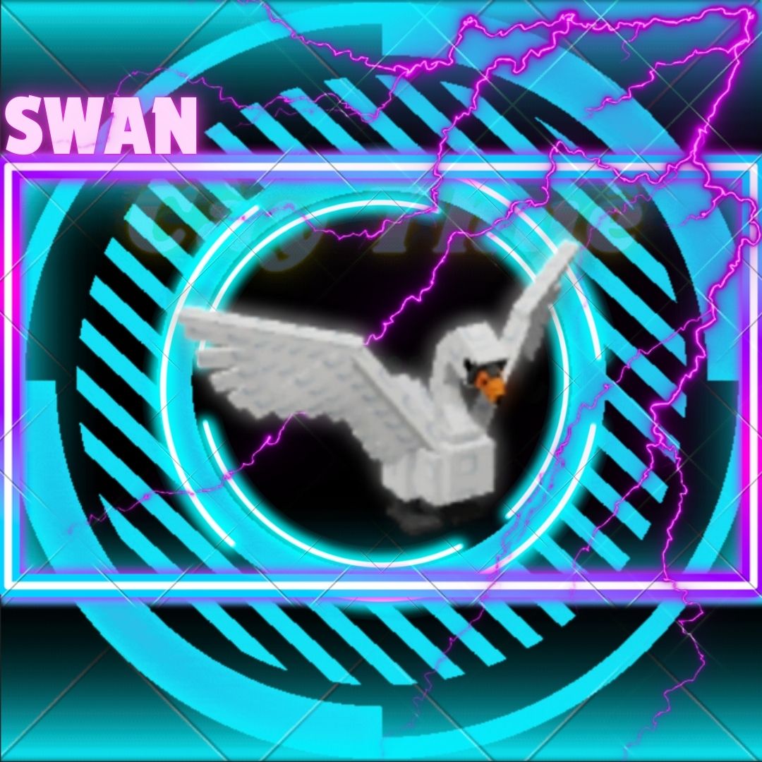 Swan